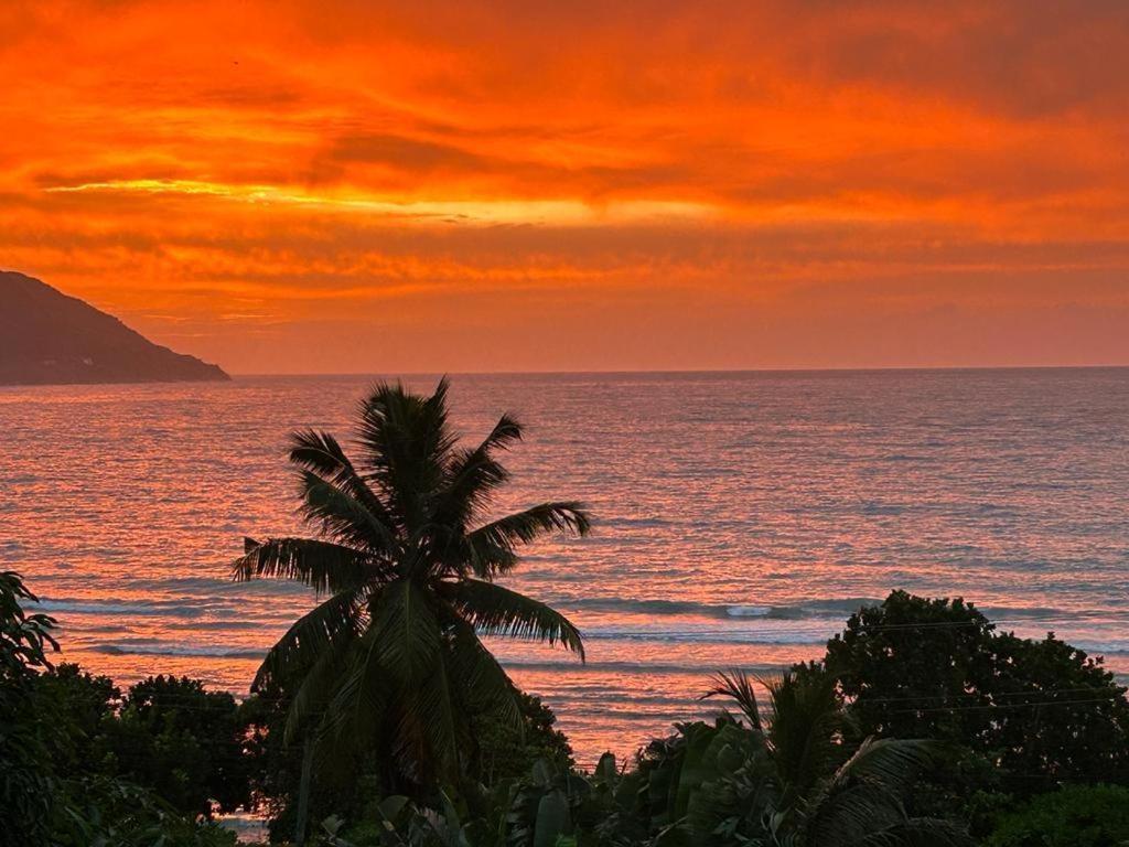 Summer Sand Holiday Apartments Beau Vallon  Exteriör bild